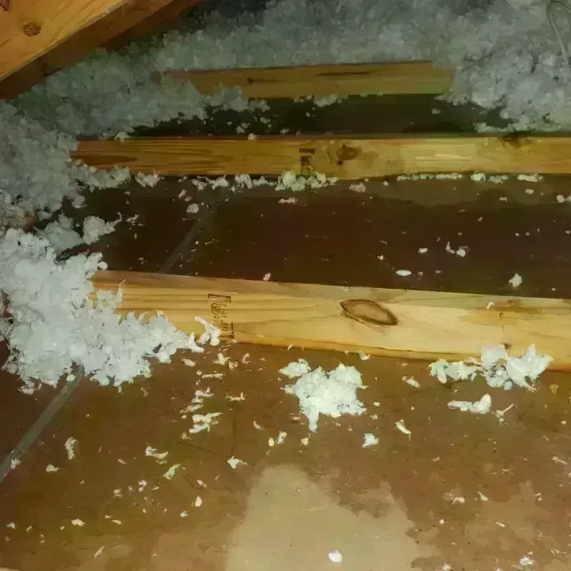 Attic Water Damage in Atascosa County, TX